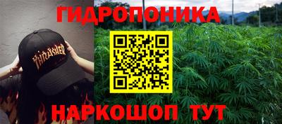 PSILOCYBIN Сланцы
