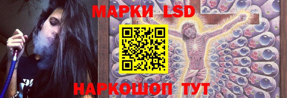 LSD-25 экстази  Вход с VPN  Новый Уренгой  ЛСД экстази ecstasy 