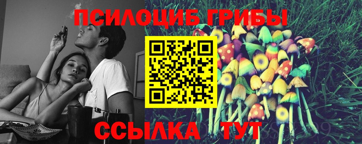 Галлюциногенные грибы Psilocybe Новый Уренгой